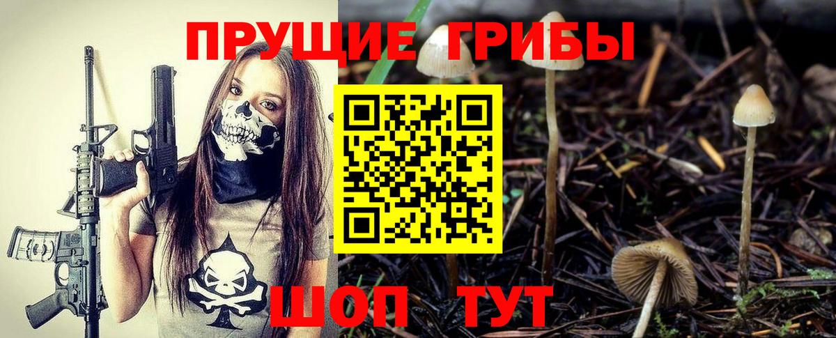 Псилоцибиновые грибы GOLDEN TEACHER Орск