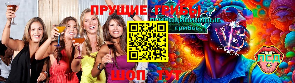 где найти   Вход с VPN  Орск  Псилоцибиновые грибы прущие грибы 